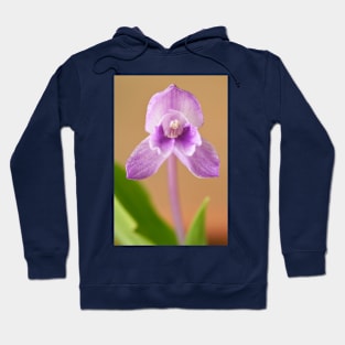 Roscoea alpina Hoodie